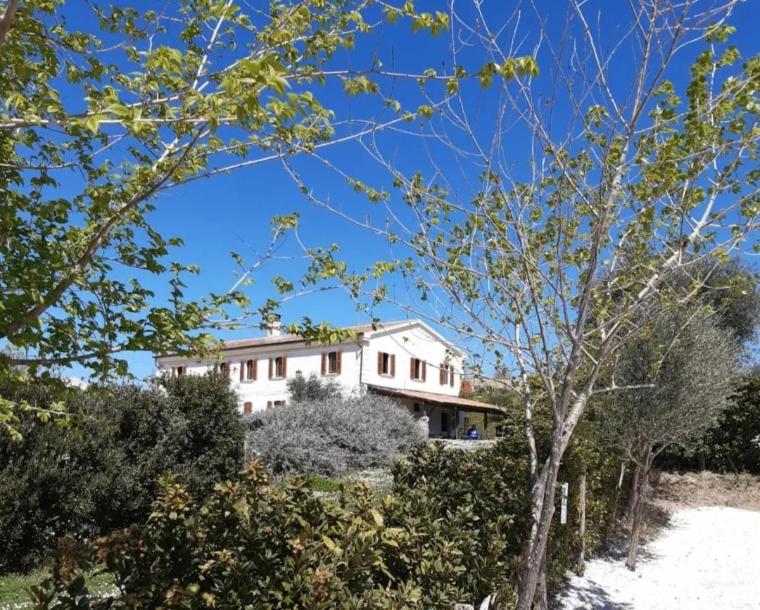 Rustico Del Bozzo Guest House Castelleone di Suasa Luaran gambar