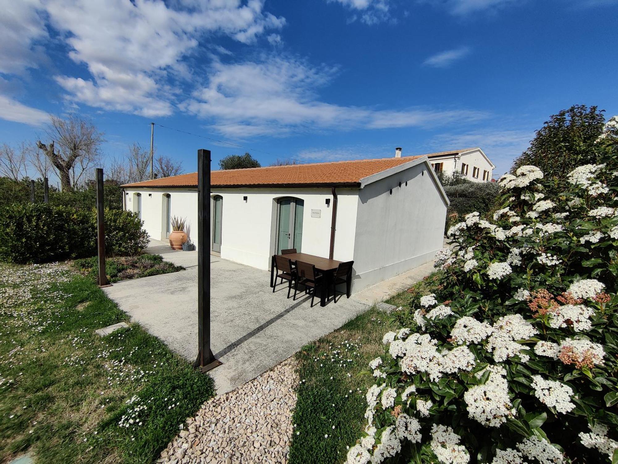 Rustico Del Bozzo Guest House Castelleone di Suasa Luaran gambar