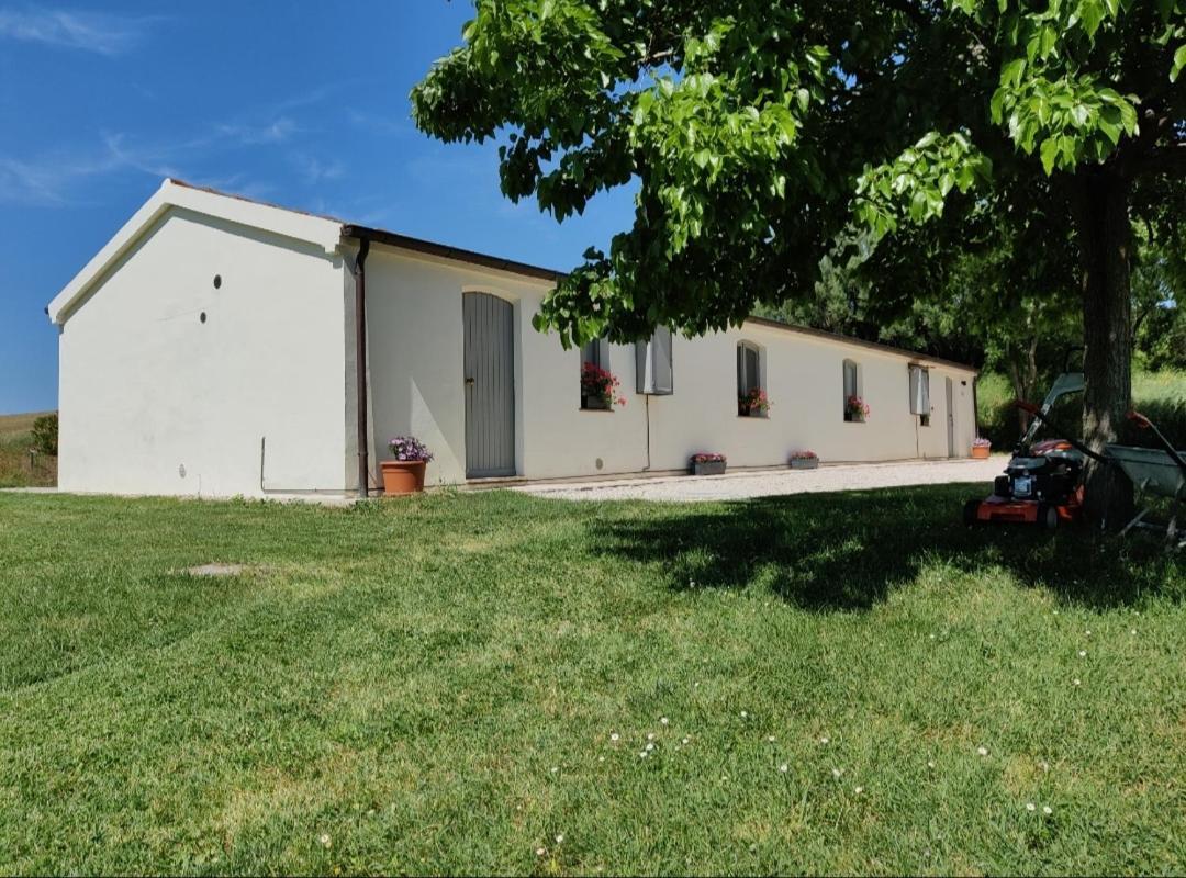 Rustico Del Bozzo Guest House Castelleone di Suasa Luaran gambar